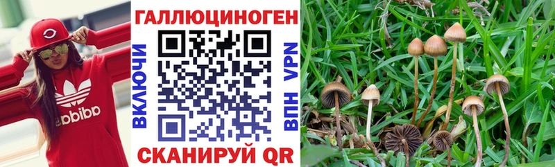 Галлюциногенные грибы мухоморы где найти наркотики Демидов
